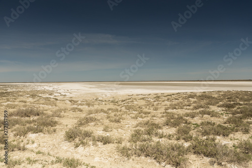 Consequences of the Aral sea disaster.Steppe and sand on the site of the former bottom of the Aral sea.Kazakhstan