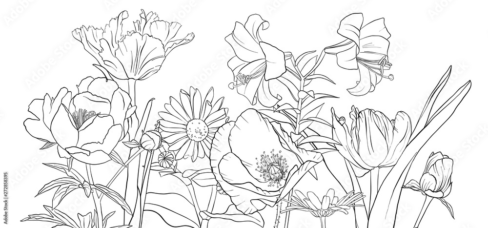 vector drawing flowers