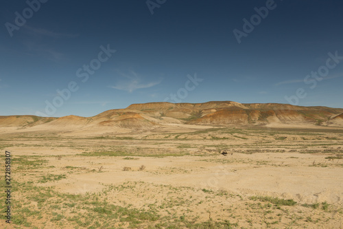 Consequences of the Aral sea disaster.Steppe and sand on the site of the former bottom of the Aral sea.Kazakhstan