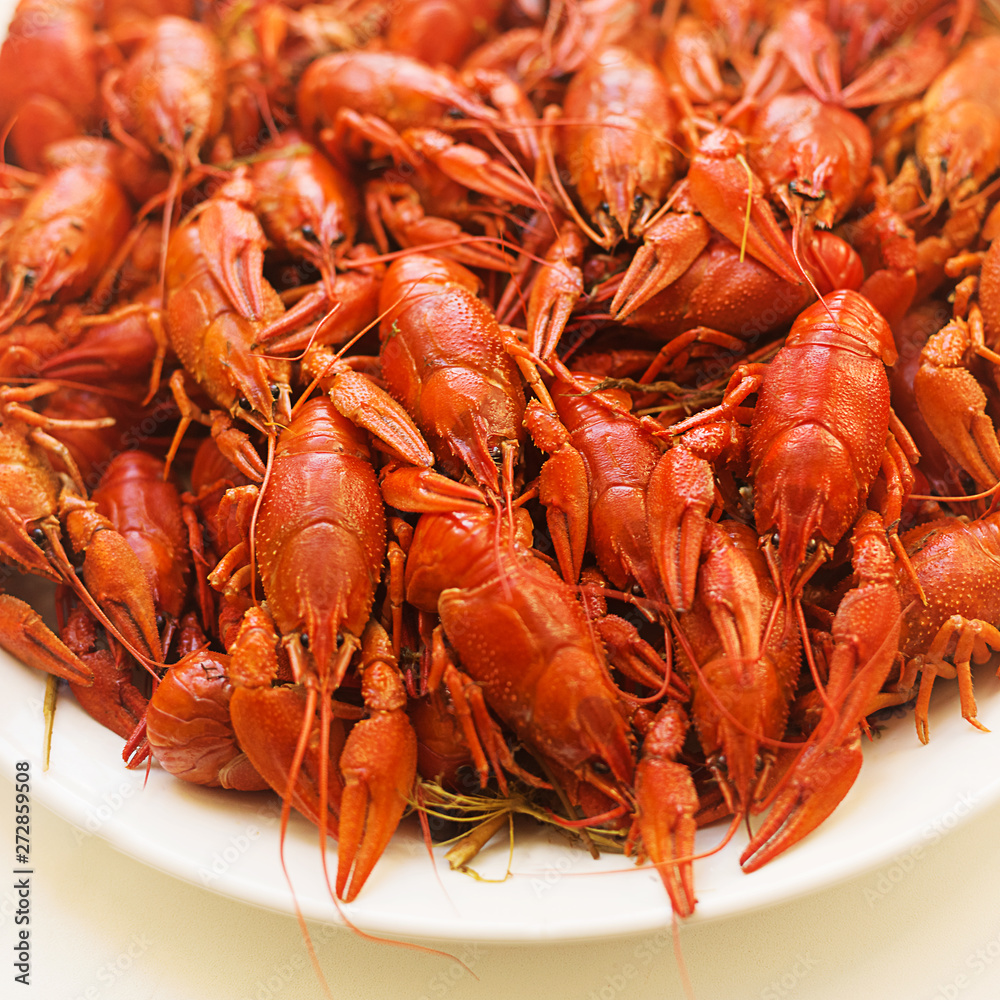boiled crayfish on a plate square background boiled crayfish on a plate square background