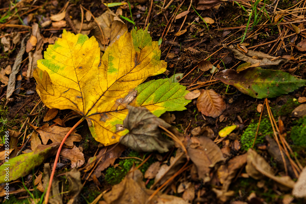 Otoño