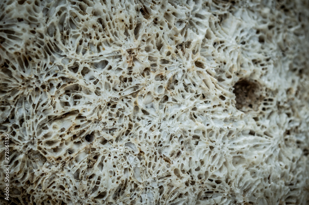 Stone pattern on Koh Samet