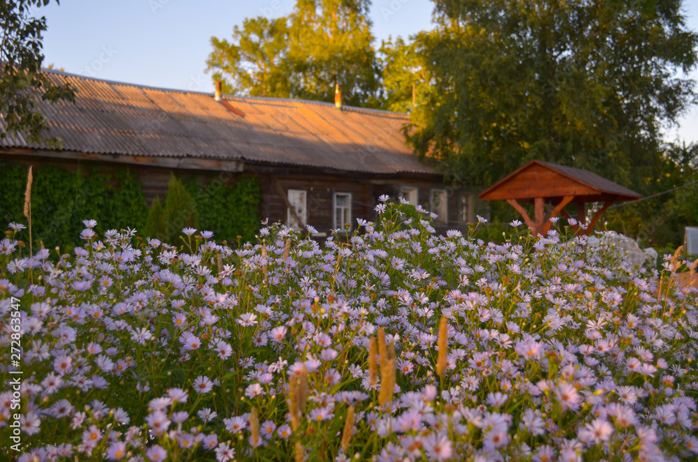 Wooden house with carved windows in Vologda Russia . Russian style in architecture. Rustic russian house with garden