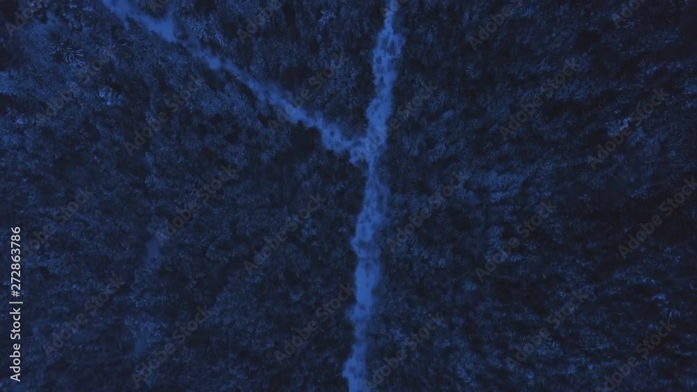 Top view of snowy evergreen forest during the night. Aerial drone vew