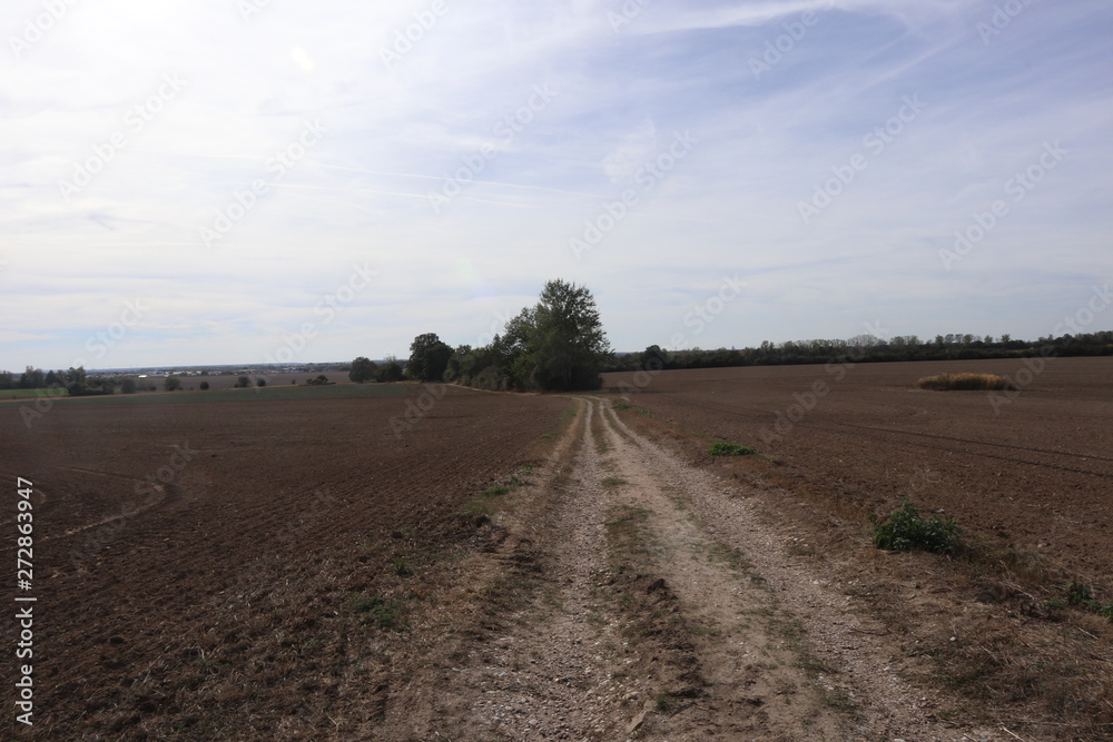 road in the field