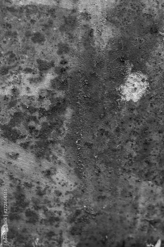 Fototapeta premium The concrete texture, wall, with cracks and scratches can be used as a background, web banner with space for text