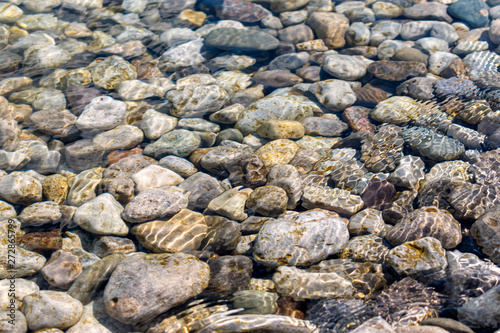 Top view of rocky riverbed under clear fresh water 