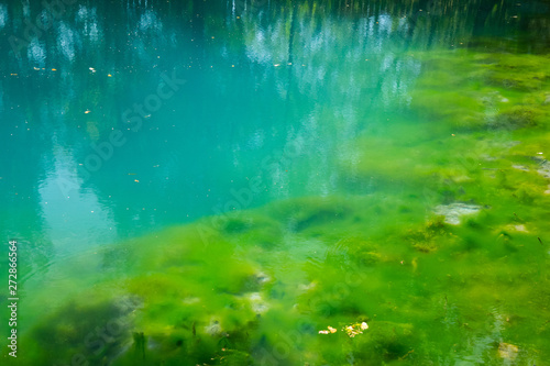 Fototapeta Naklejka Na Ścianę i Meble -  Turquoise clear water, nature background, summer time