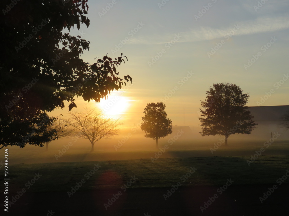 Fototapeta premium Sunrise Over Fog and Trees