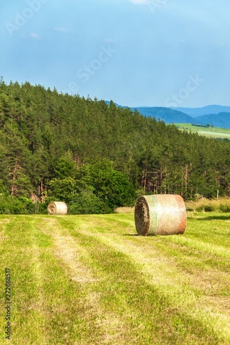Haymaking on the field in the Czech Republic - Europe. Agricultural landscape. Hot summer day on the farm.