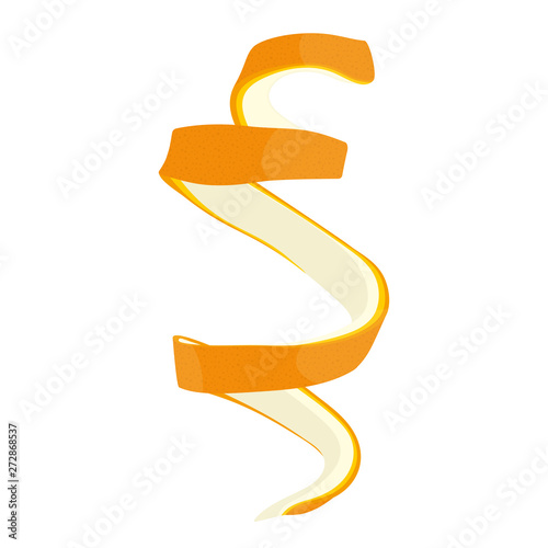 Orange peel. Citrus fruit. Isolated on white background. Vector illustration.