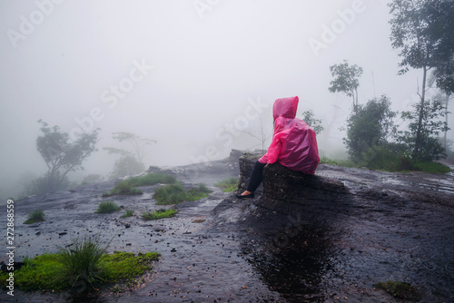 tourist with pink rain coat Sitting View the scenery natural beautiful touch fog at Phu Hin Rong Kla National Park. travel nature, Travel relax, Travel Thailand, rainy season. photo