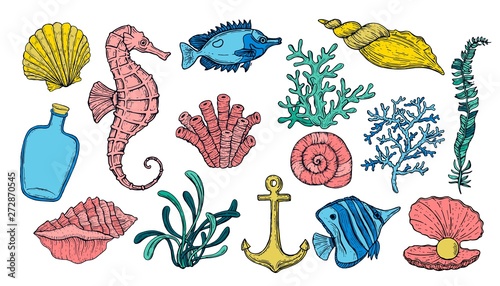 Sea shell, seaweed, anchor, seahorse, and fish. Hand drawn underwater colorful creatures.