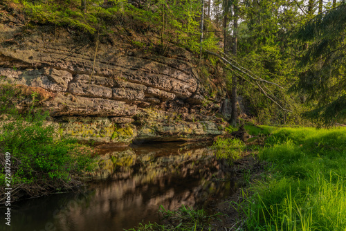 River Kamenice in color nice sunny spring evening