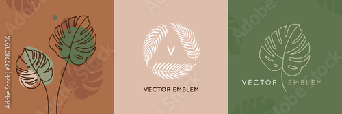 Carta da parati Vector abstract logo design templates in trendy linear minimal style - monstera