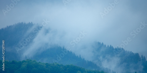Schwarzwald Nebel Blackforest