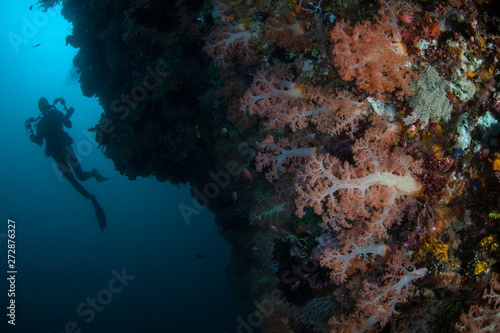 A diver explores a vibrant coral reef in Komodo National Park  Indonesia. This region harbors extraordinary marine biodiversity and is a popular destination for divers and snorkelers.