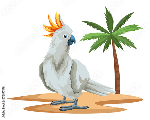 parrot wild cockatoo icon cartoon