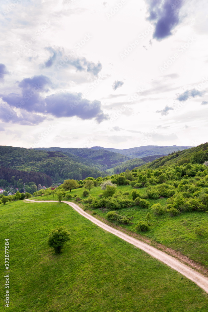 Stunning aerial view of field road between meadows and orchard wit colorful summer mixed forest in background, deciduous and coniferous trees, summer cloudy sky, copy space Stunning aerial view of field road between meadows and orchard wit colorful summer mixed forest in background, deciduous and coniferous trees, summer cloudy sky, copy space