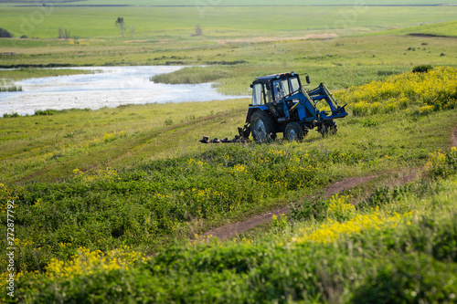 Tractor rides on the field. Summer sunny day. Blooming colza. Russian province.