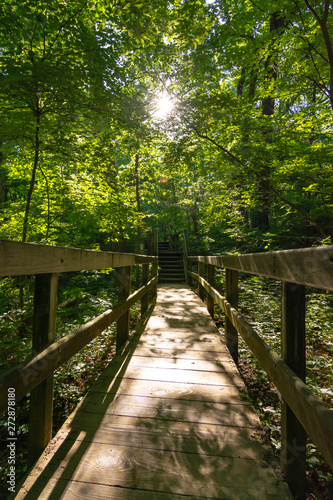 Sun lit wooden walkway