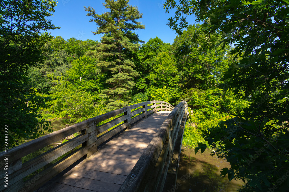 Fototapeta premium Bridge in Starved Rock