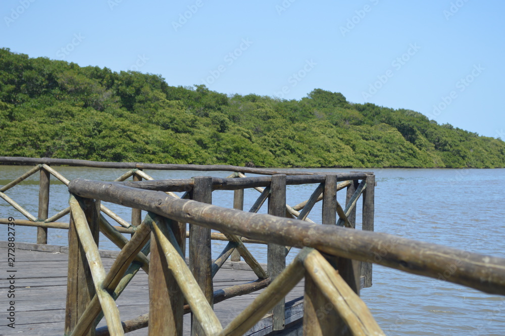 Fototapeta premium deck varanda madeira ponte
