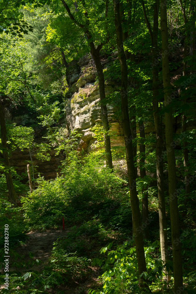 Obraz premium Canyon walls through the trees