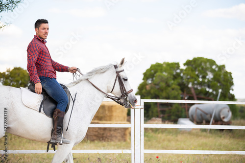 Young guy in casual outfit riding white horse on sandy ground