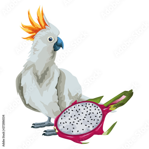 parrot wild cockatoo icon cartoon