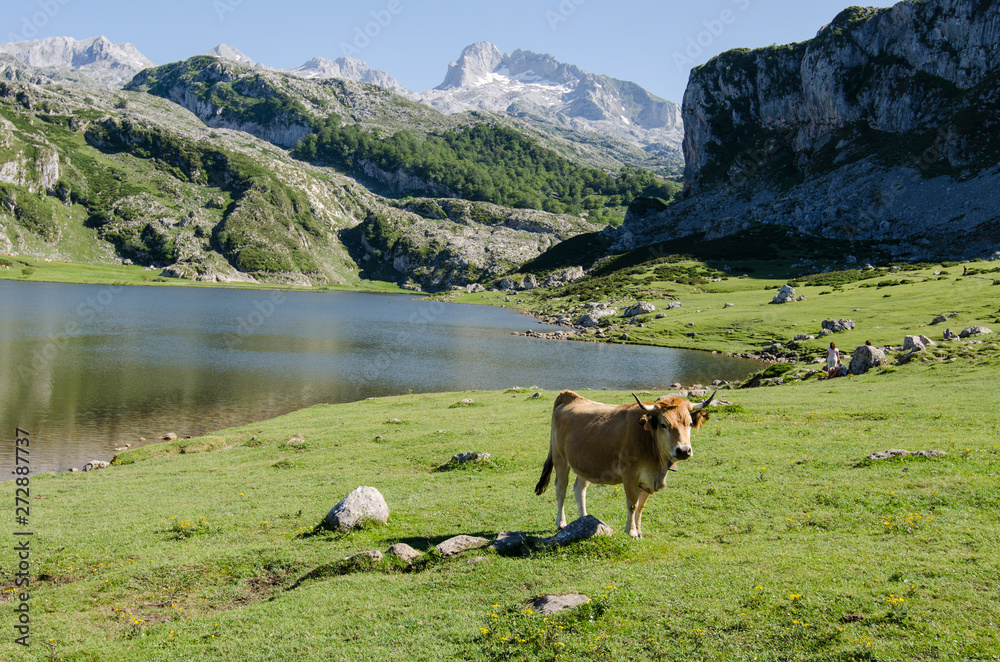 Lagos de Covadonga, Picos de Europa Asturias (spain)