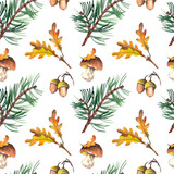 Seamless pattern with pine branches, mushrooms, acorns and oak leaves. Forest illustration. Watercolor on white background.