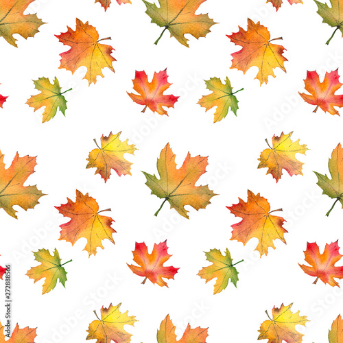 Seamless pattern with autumn maple leaves. Watercolor on white background.