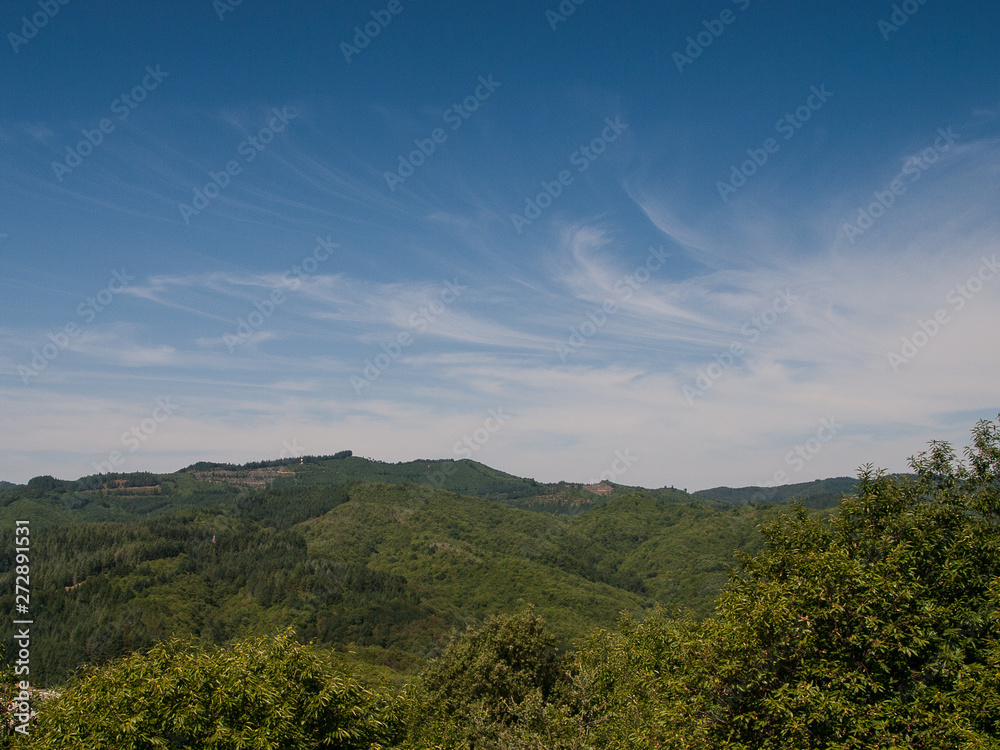 Obraz premium OLYMPUS DIGITAL CAMERA