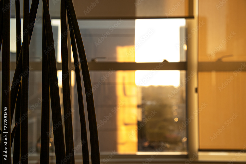 Warm Business building plant sunlight sun red yellow window Warm Business building plant sunlight sun red yellow window