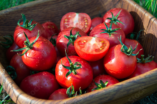 Tomatoes in a bown photo