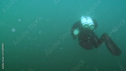 Wallpaper Mural Sea eutrophication: abundance of Sea fungi (Thraustochytrida sp.) In the water column. Torontodigital.ca