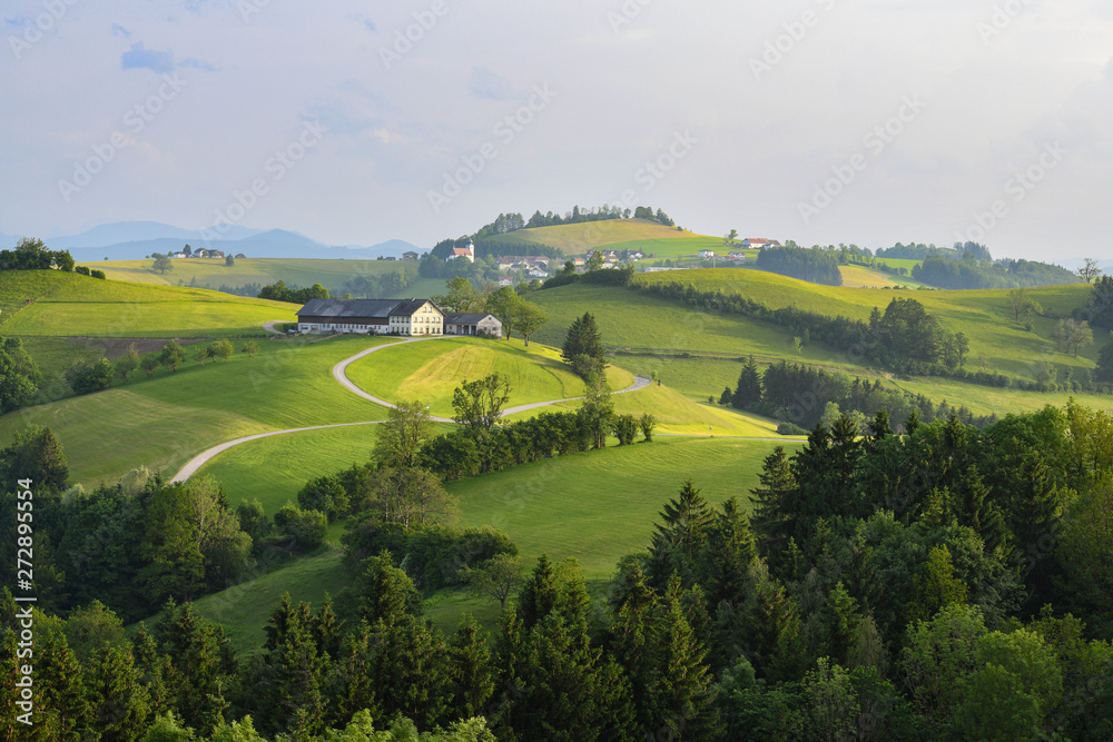Hochkogel Panorama St. Leonhart am Walde Hochkogel Panorama St. Leonhart am Walde