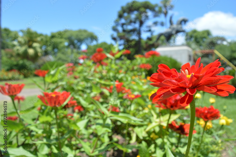 red flowers on a background of blue sky
