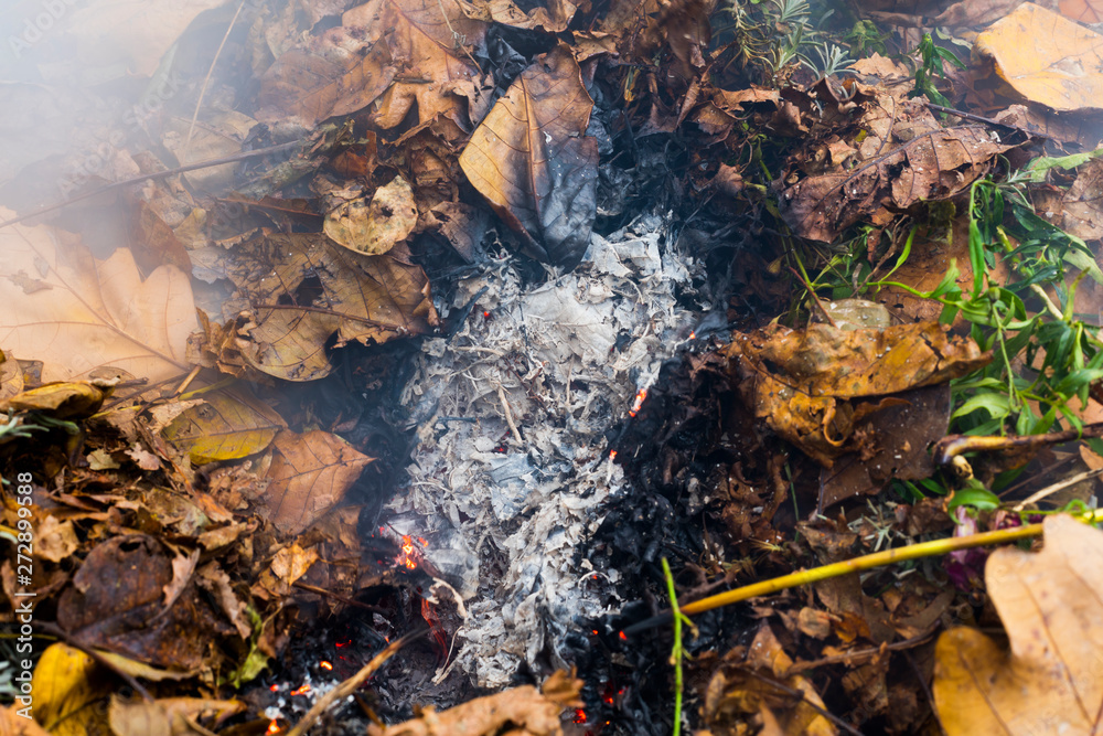 Burning pile of dry leaves and plants during typical autumn garden work Burning pile of dry leaves and plants during typical autumn garden work