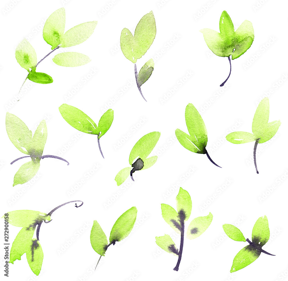 Fototapeta premium Watercolor painted tree leaves