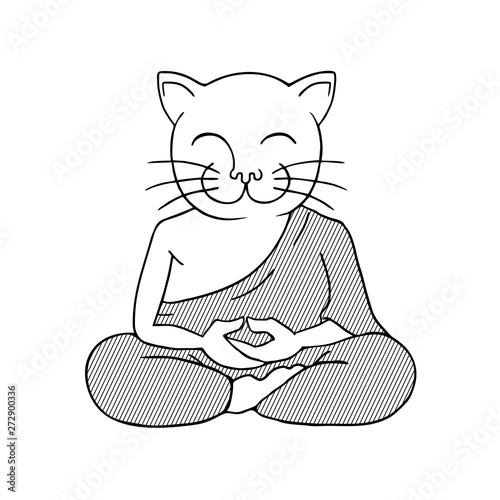 funny cat meditating