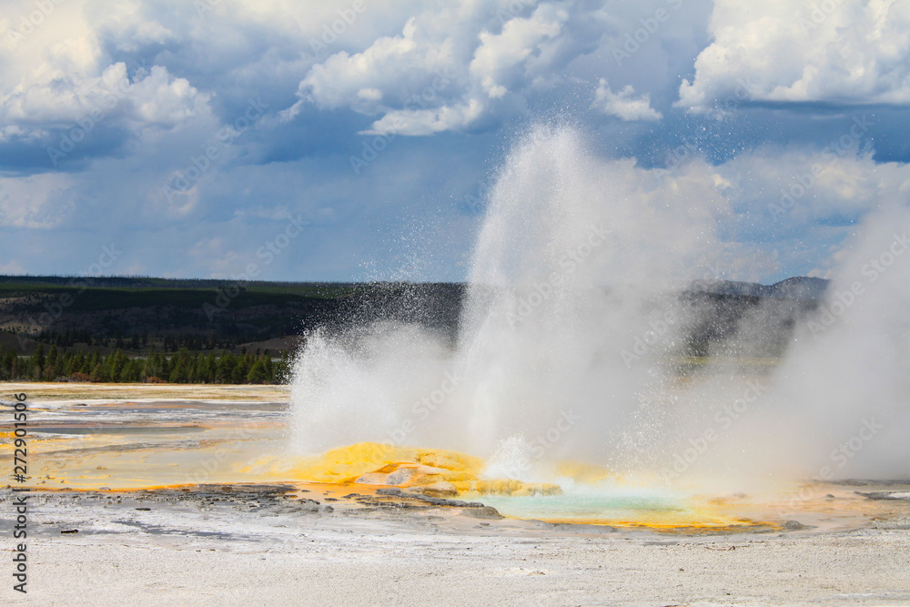 Geyser erupts with hot water and steam with pools in Yellowstone National Park