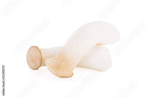 fresh eryngii mushroom on white background