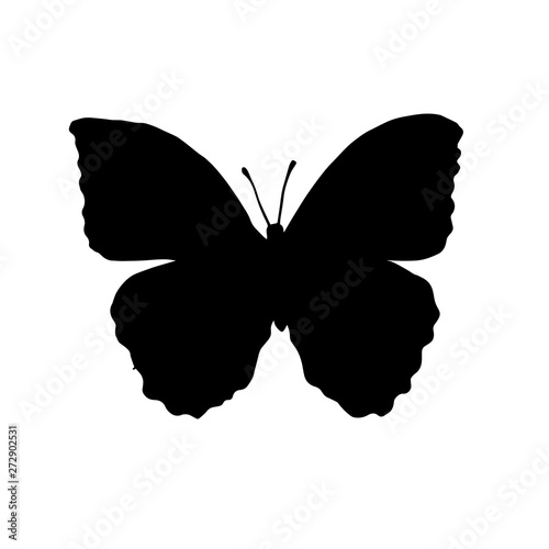 Vector flat black silhouette logo icon of butterfly butter fly isolated on white background