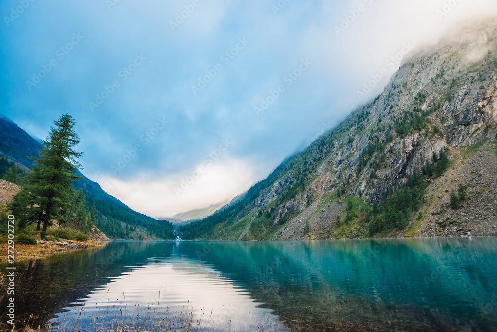Wonderful mountain lake. Amazing huge mountains with conifer forest. Larch tree on water edge. Morning foggy landscape of majestic nature of highlands. Sunny misty mountainscape. Sunlight through fog.