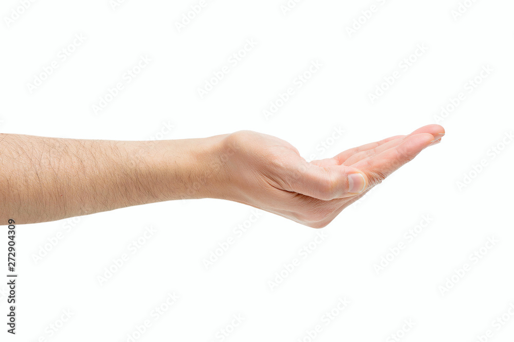 isolated hand isolated hand
