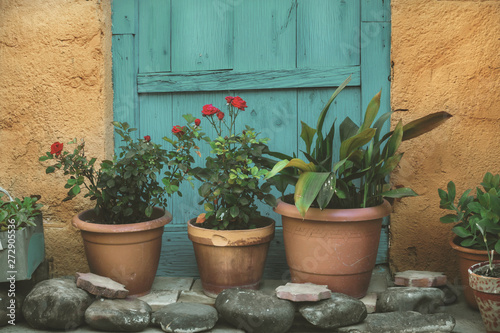 Obraz na plátně Clay pots with red geraniums, in front of a blue old wooden door