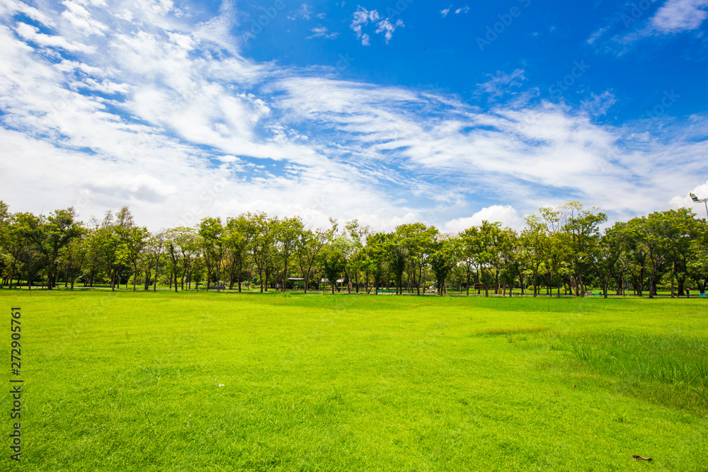 Idyllic nature green meadow with tree in city public park Idyllic nature green meadow with tree in city public park