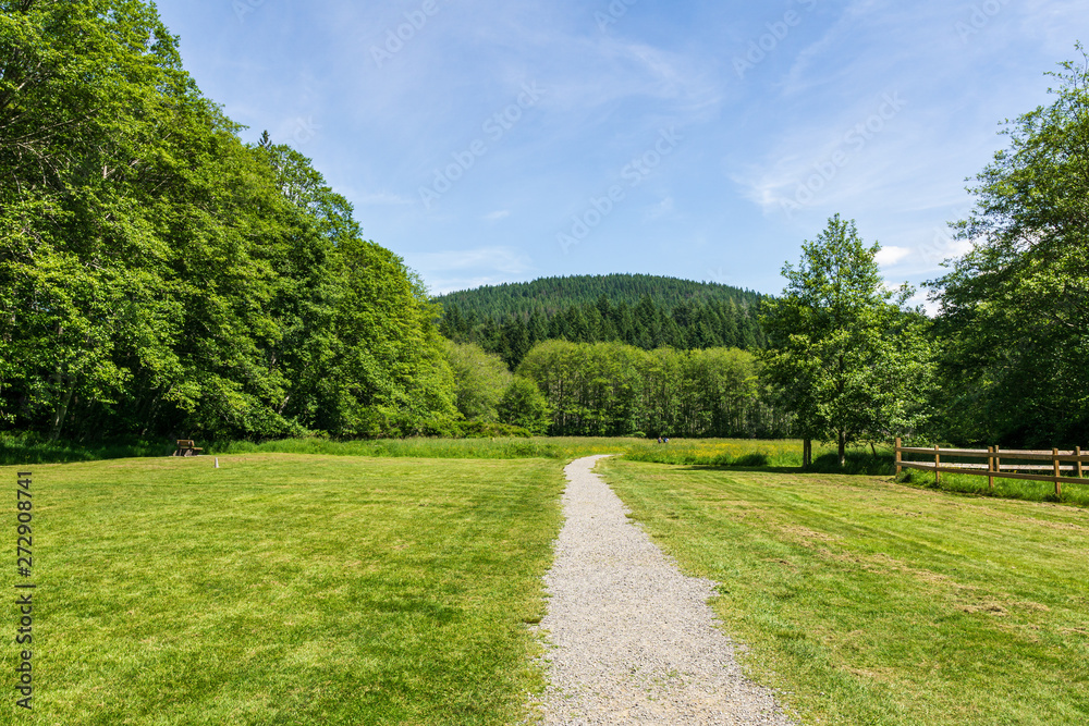 easy hiking trail in the park near Killarney Lake Bowen island british columbia. easy hiking trail in the park near Killarney Lake Bowen island british columbia.